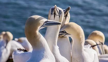 昭通高价上海医保提取2025的最新政策(2025年昭通上海医保怎么提取现金分享)