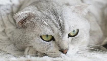 昭通上海医保套现联系方式的最新政策(2025年昭通上海医保套现论坛分享)