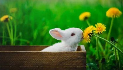 昭通高价上海医保提取2025的最新政策(2025年昭通上海医保怎么提取现金分享)